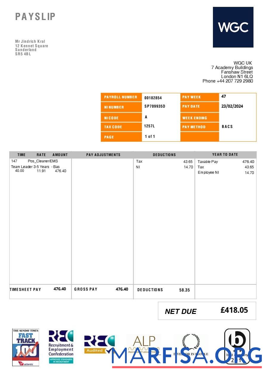 Realistic United Kingdom WGC cleaning service payslip template